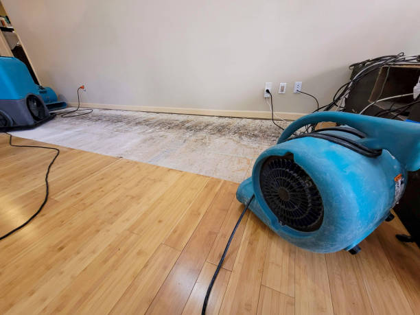 Professional Structural Drying technician working in Mango, FL